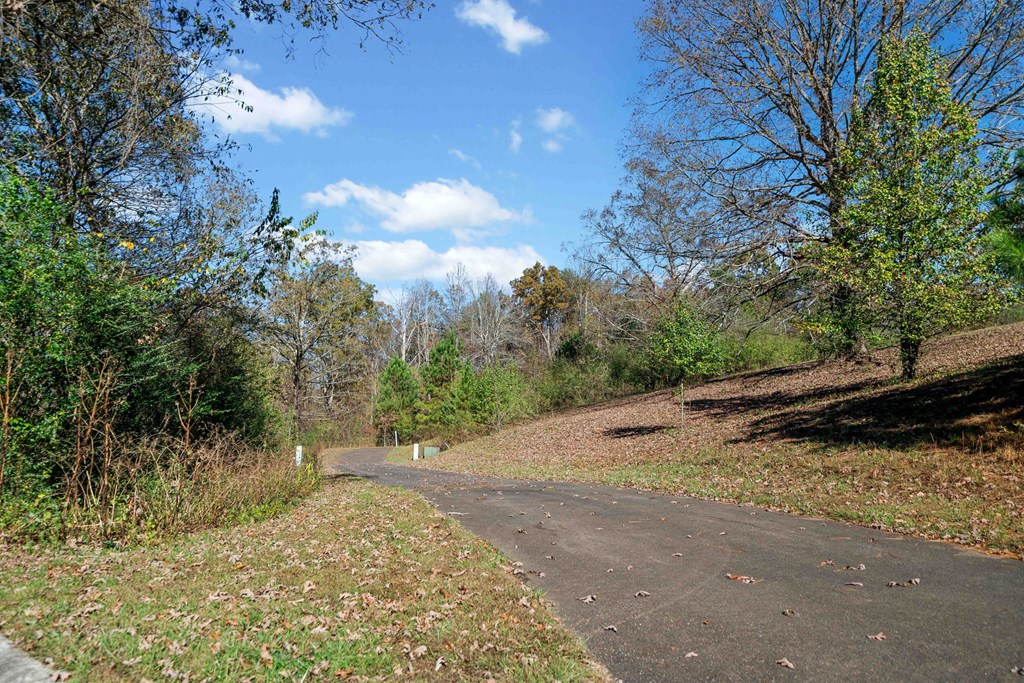 Lot 113 Oak Valley Court Property Photo 10