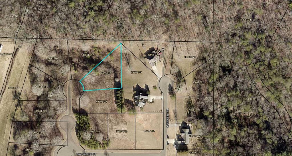 Lot 113 Oak Valley Court Property Photo 11
