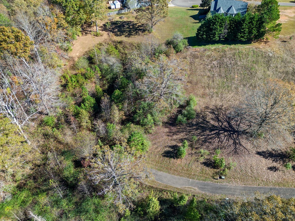 Lot 113 Oak Valley Court Property Photo 12