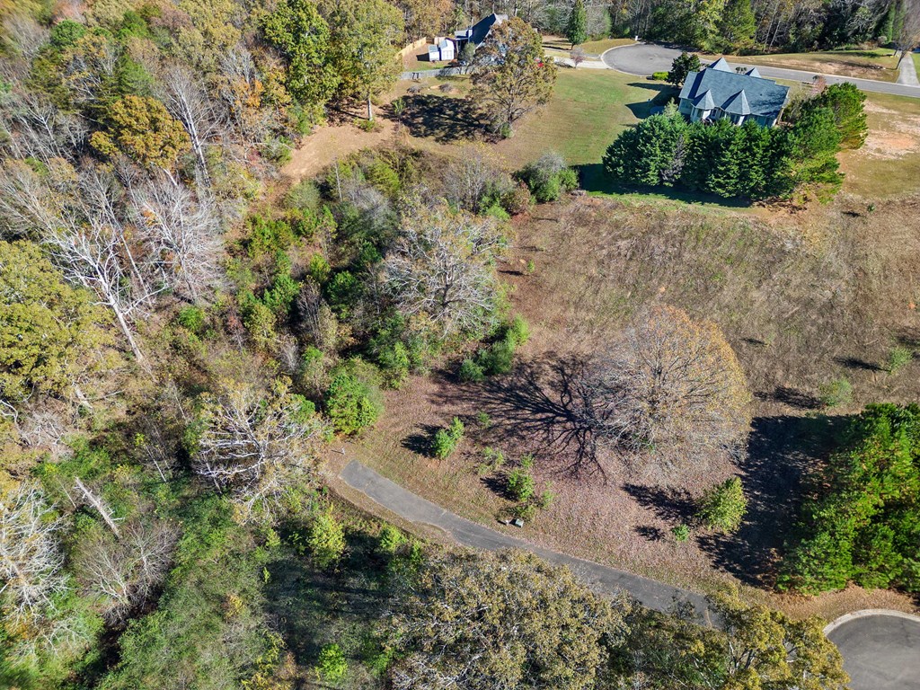 Lot 113 Oak Valley Court Property Photo 13