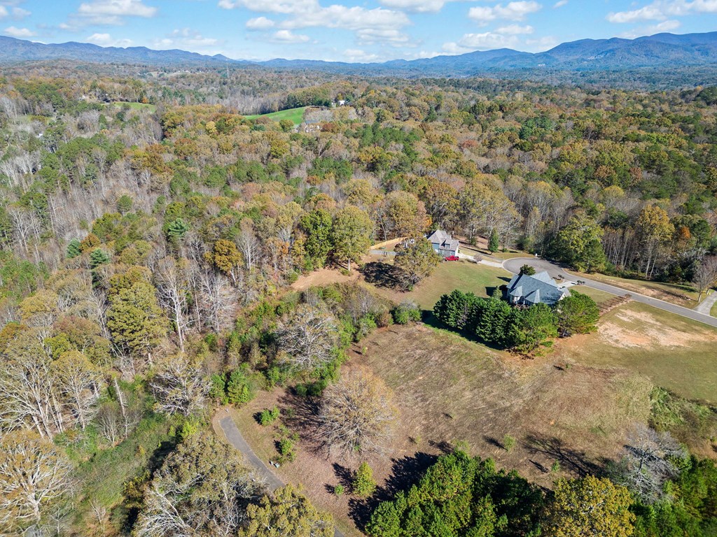 Lot 113 Oak Valley Court Property Photo 15