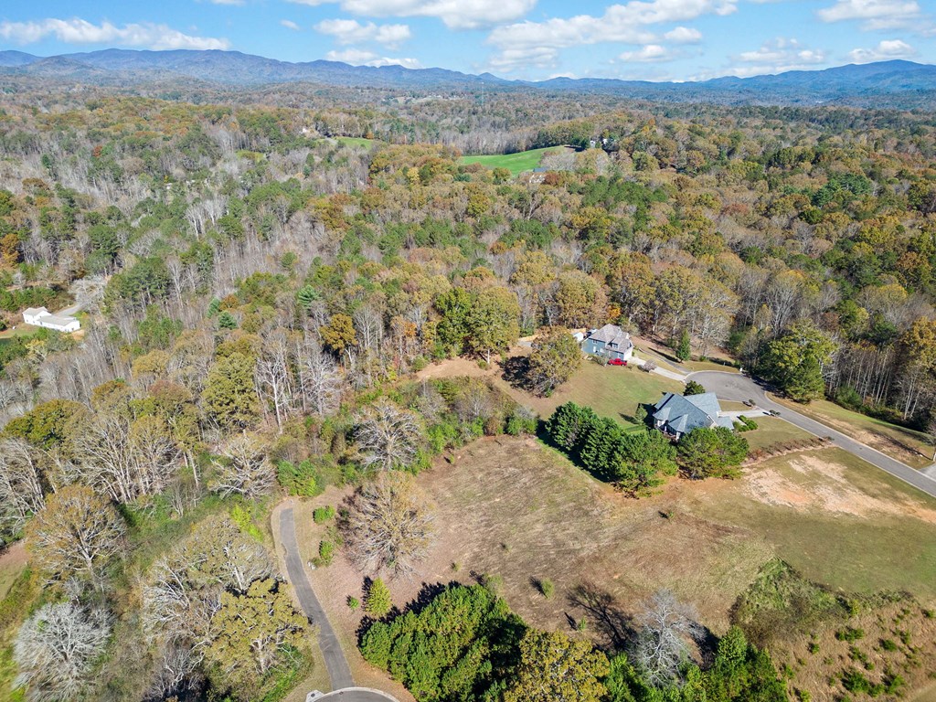 Lot 113 Oak Valley Court Property Photo 16