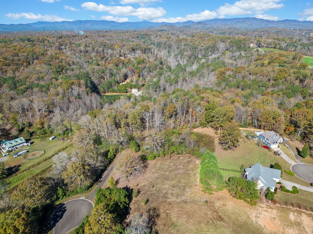Lot 113 Oak Valley Court Property Photo 18