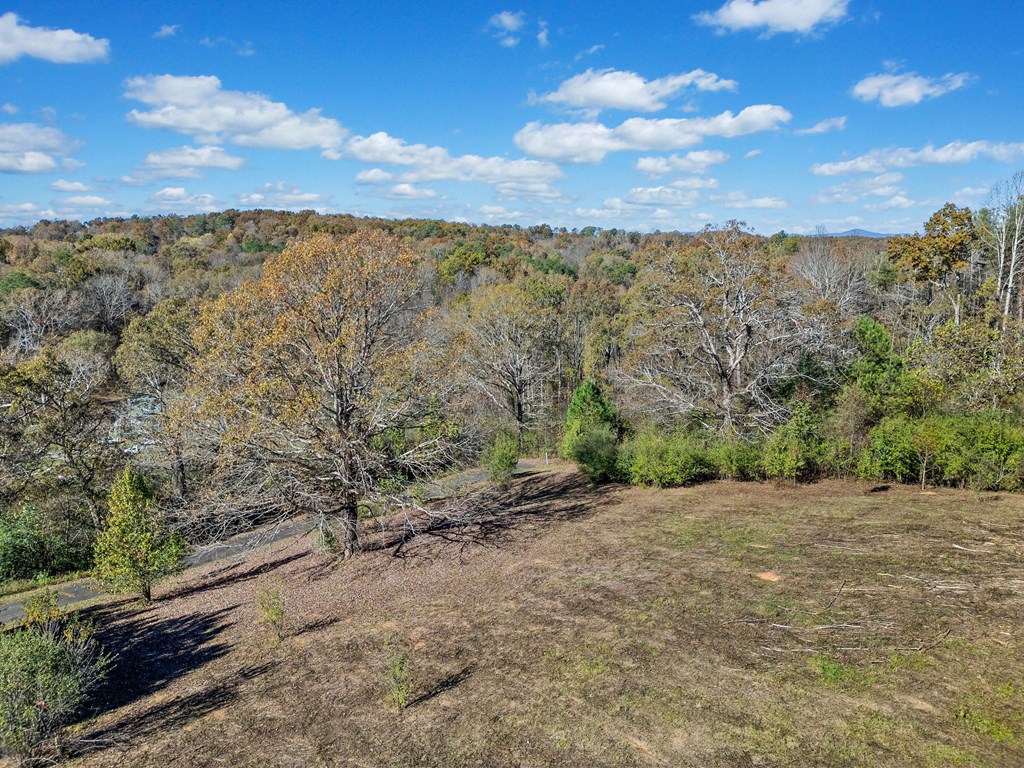 Lot 114 Oak Valley Court Property Photo 3