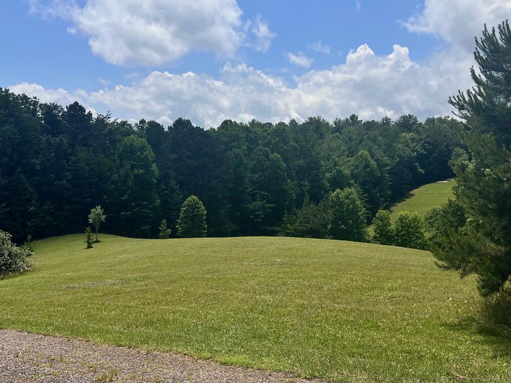 Lt 18/19 Pond Overlook Lane Property Photo 1