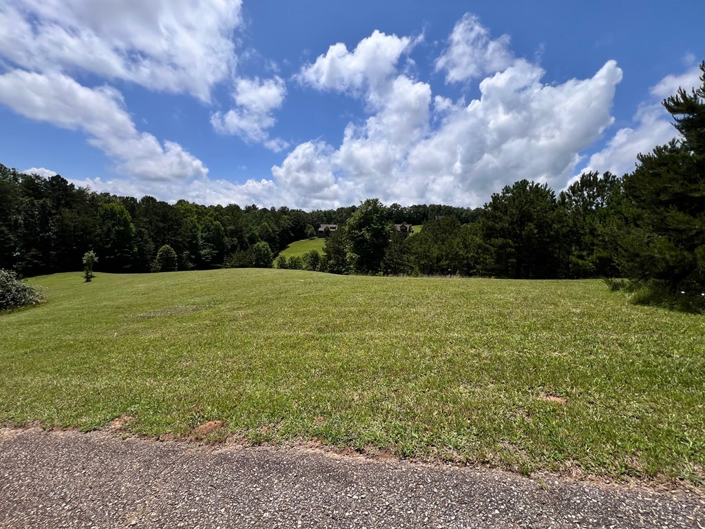 Lt 18/19 Pond Overlook Lane Property Photo 2