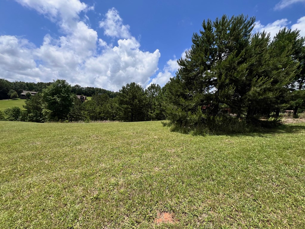 Lt 18/19 Pond Overlook Lane Property Photo 4