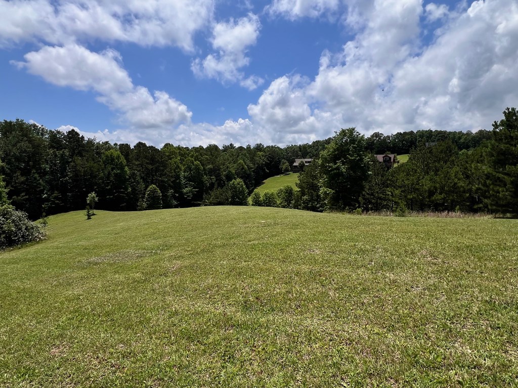 Lt 18/19 Pond Overlook Lane Property Photo 8