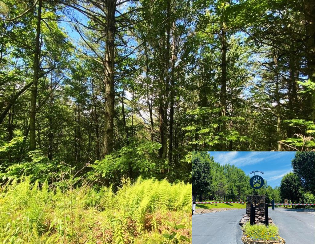 Lot 97 Choctaw Ridge Trail Property Photo 1
