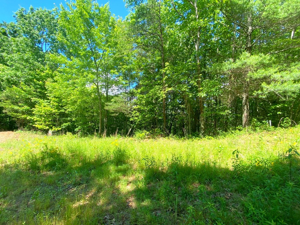 Lot 97 Choctaw Ridge Trail Property Photo 2