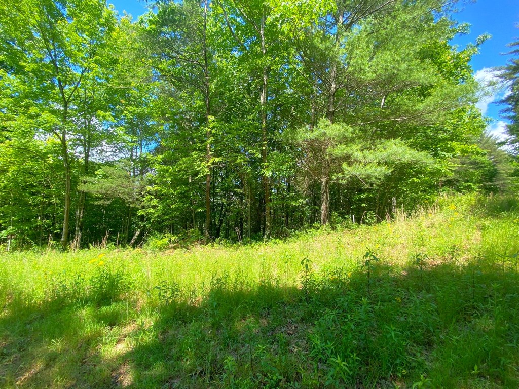 Lot 97 Choctaw Ridge Trail Property Photo 4