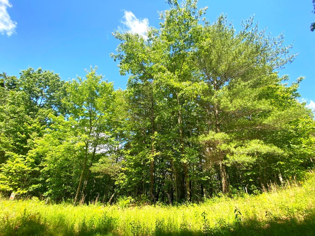 Lot 97 Choctaw Ridge Trail Property Photo 5