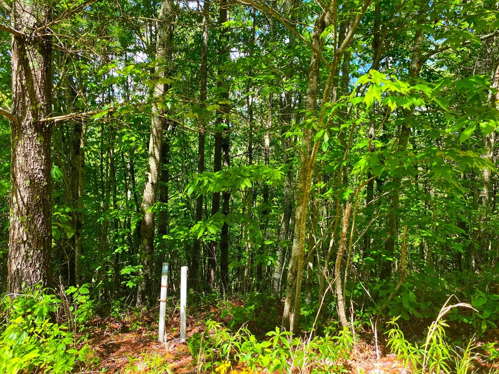 Lot 97 Choctaw Ridge Trail Property Photo 8