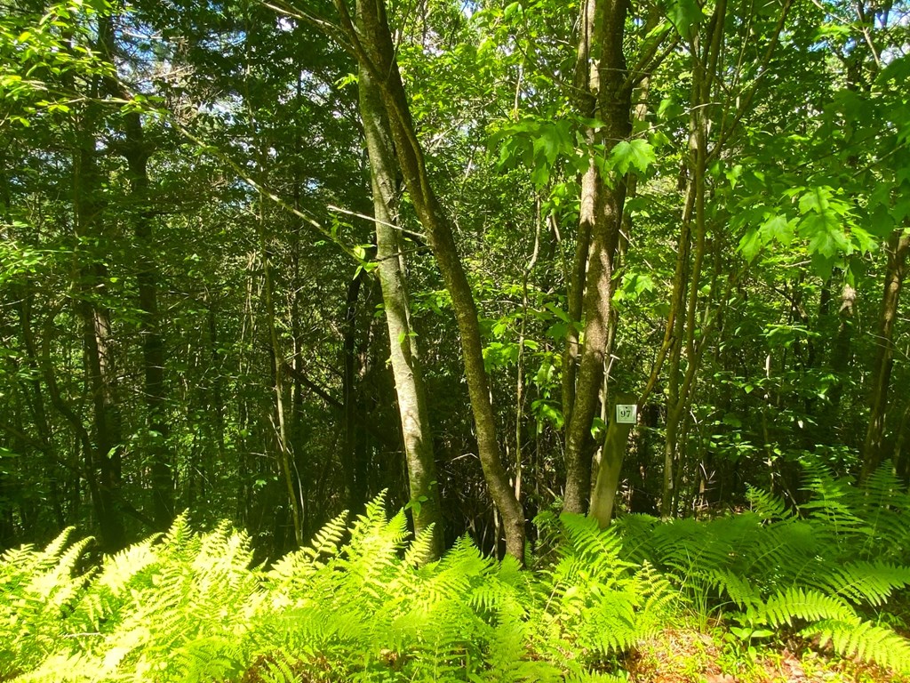 Lot 97 Choctaw Ridge Trail Property Photo 11