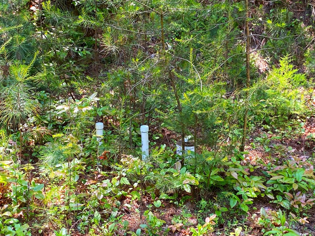 Lot 97 Choctaw Ridge Trail Property Photo 12