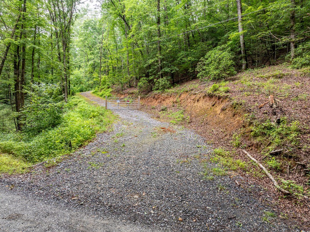 5846 Gates Chapel Road Property Photo 3