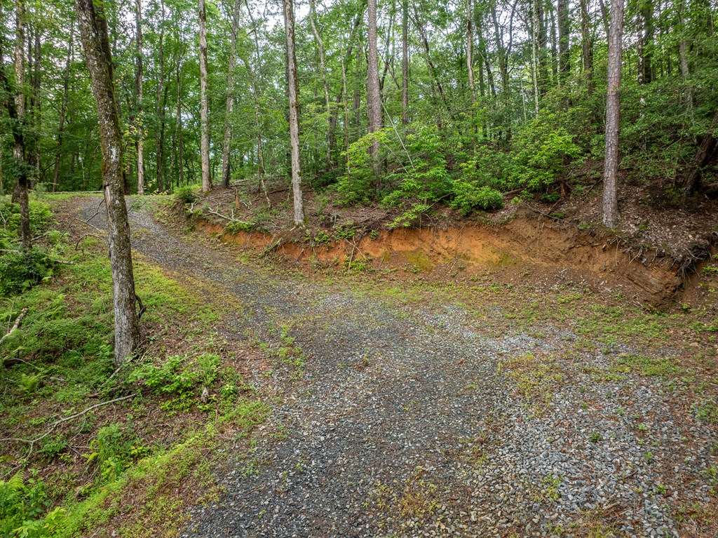 5846 Gates Chapel Road Property Photo 5