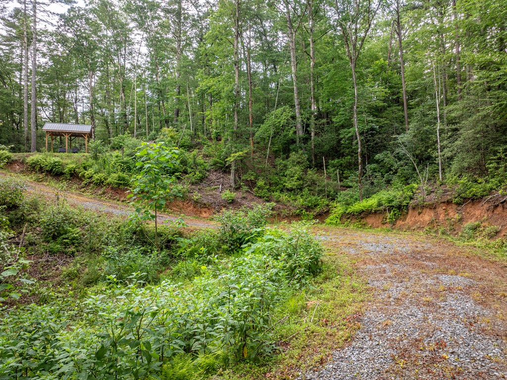 5846 Gates Chapel Road Property Photo 7
