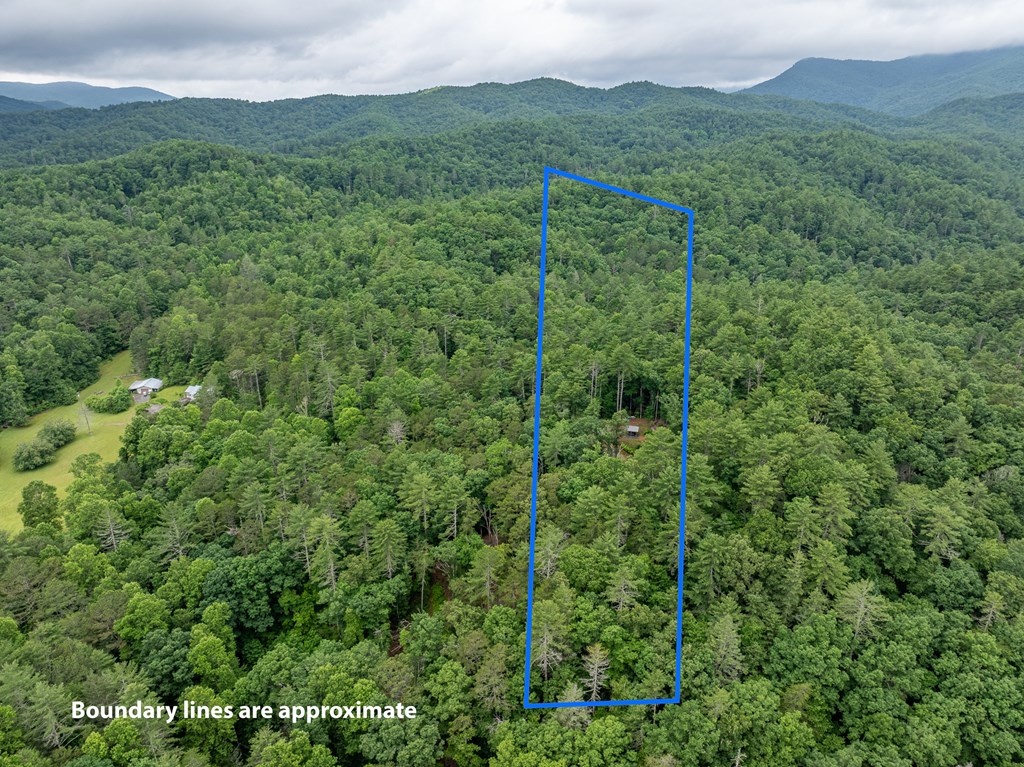 5846 Gates Chapel Road Property Photo 11