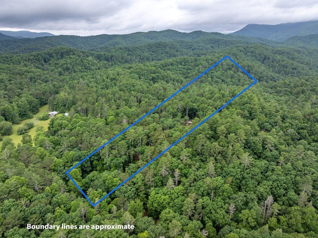5846 Gates Chapel Road Property Photo 12