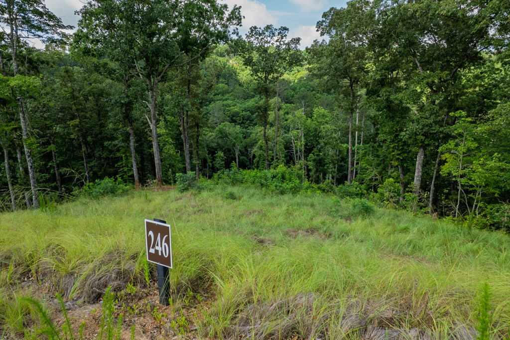 Lot 246 Spear Point Dr Property Photo 2