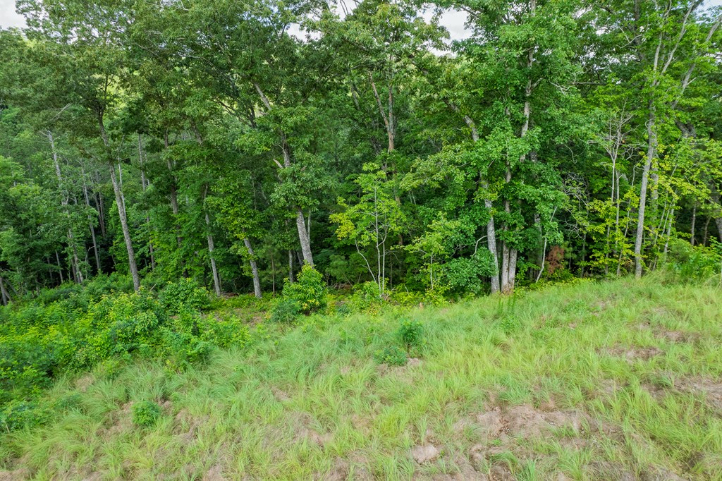 Lot 246 Spear Point Dr Property Photo 3