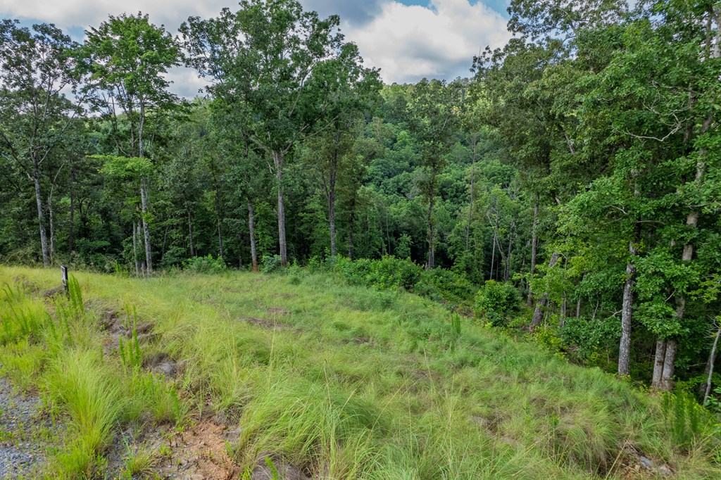 Lot 246 Spear Point Dr Property Photo 4