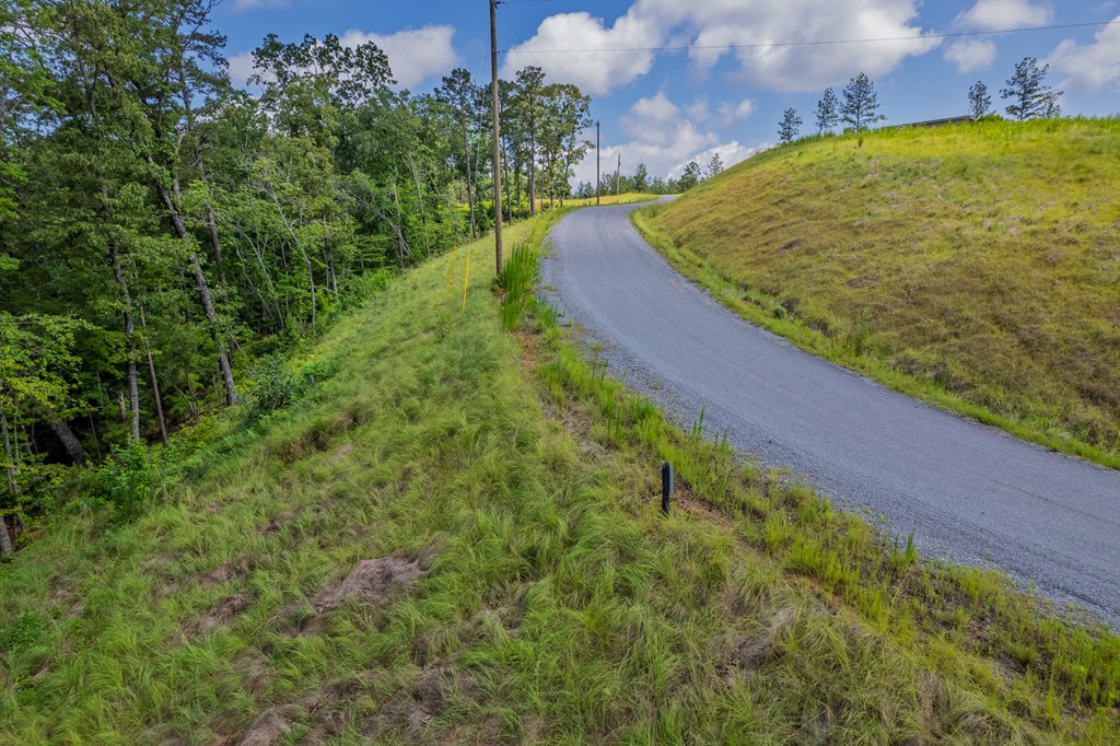 Lot 246 Spear Point Dr Property Photo 5