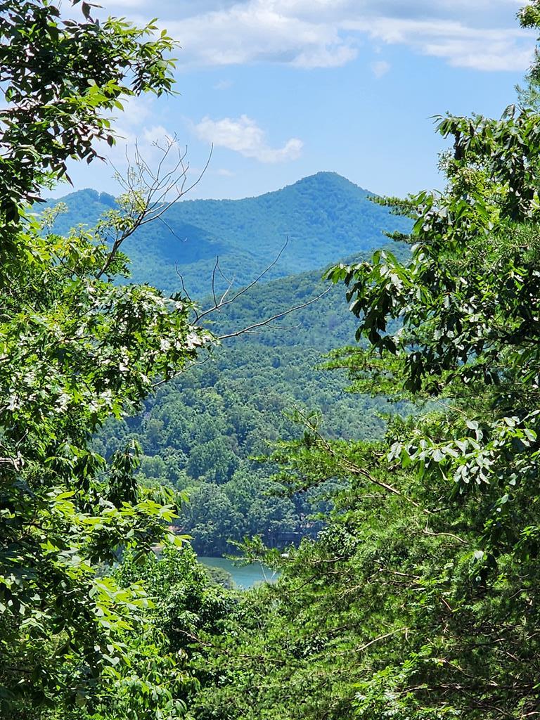Lot19 Bel-aire Estates Property Photo 2