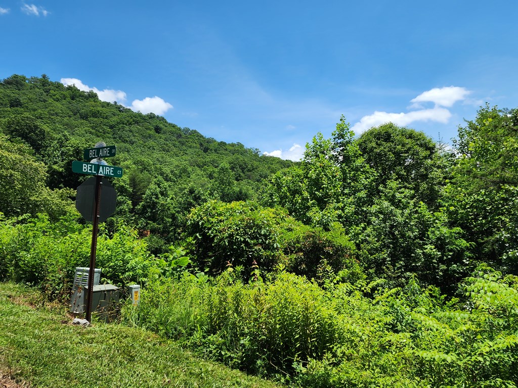 Lot19 Bel-aire Estates Property Photo 3
