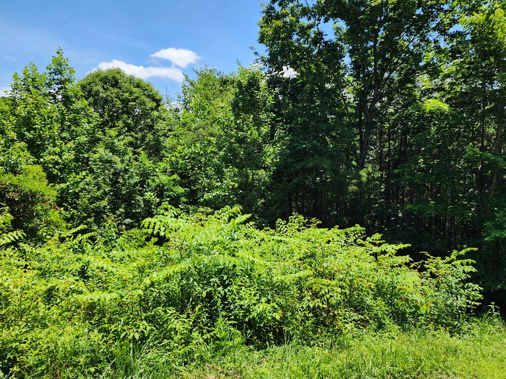 Lot19 Bel-aire Estates Property Photo 5