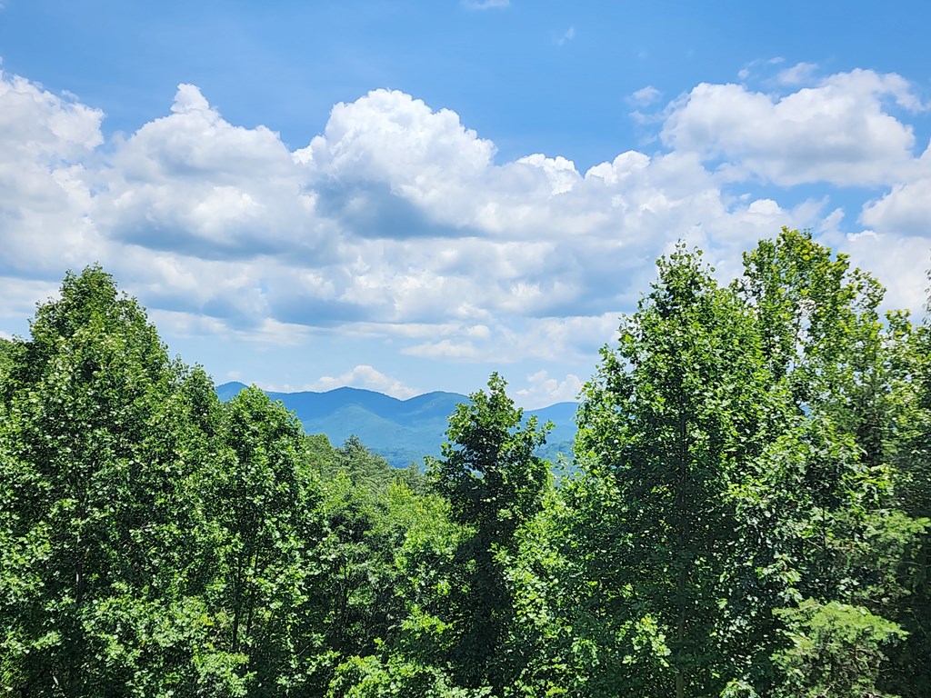 Lot19 Bel-aire Estates Property Photo 8