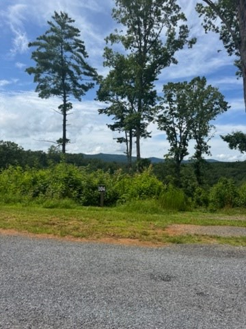 Lt 104 River Knoll Trail Property Photo 5