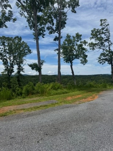 Lt 104 River Knoll Trail Property Photo 6