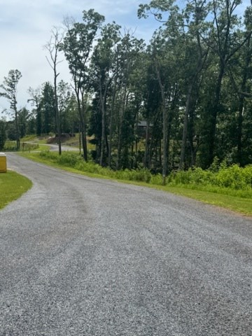 Lt 104 River Knoll Trail Property Photo 8
