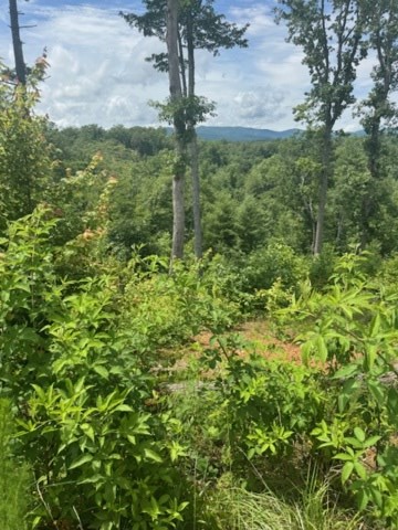 Lt 104 River Knoll Trail Property Photo 10