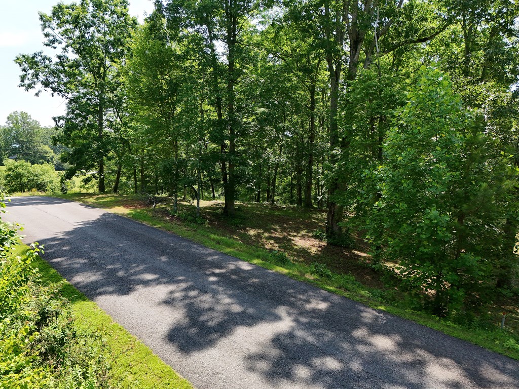 Lot 30 Meadow Brooke Property Photo 4