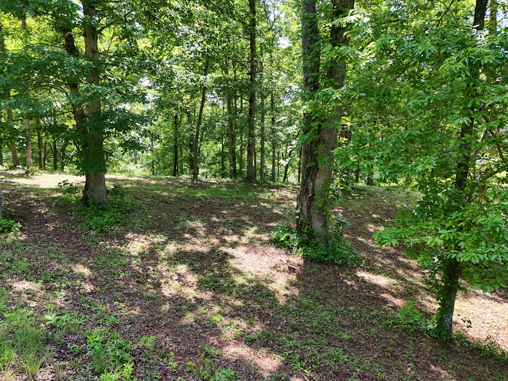 Lot 30 Meadow Brooke Property Photo 5