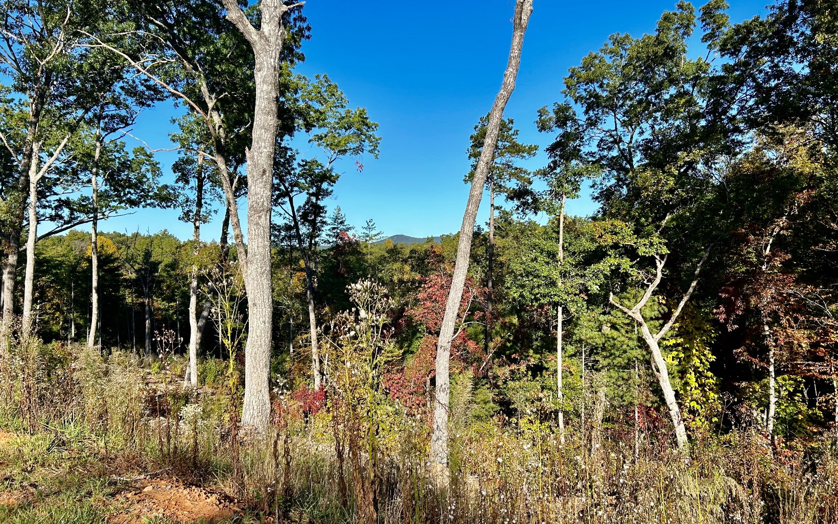 Lot 305 Greenwood Court Property Photo 1