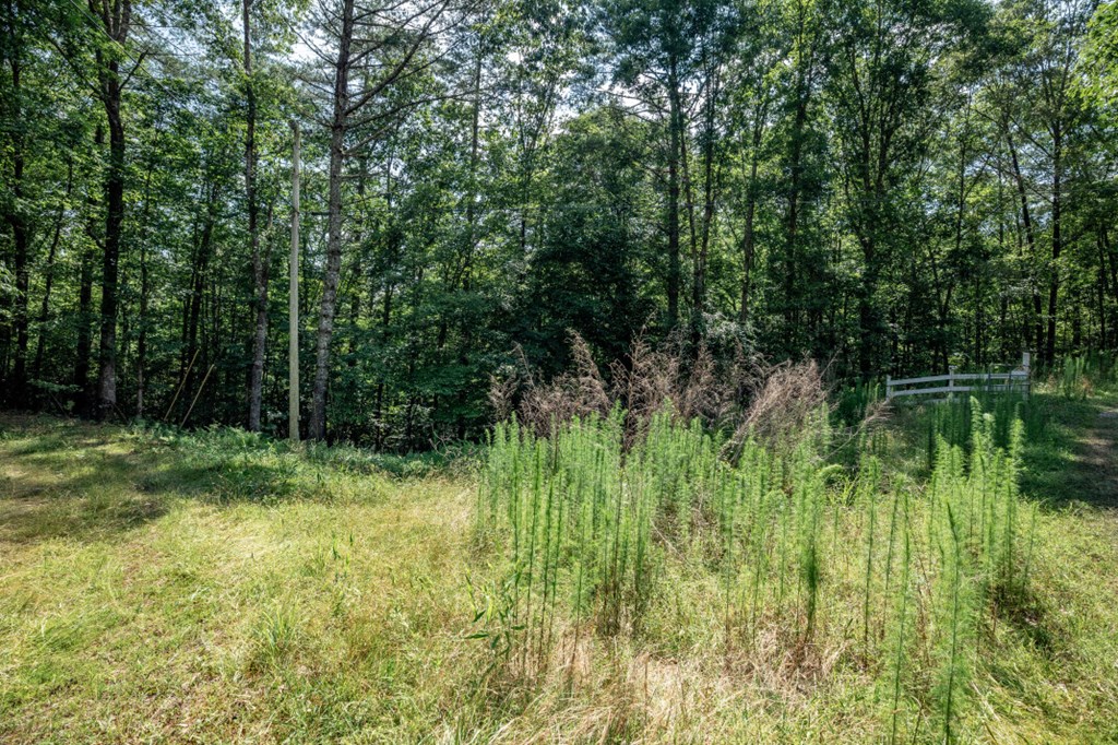 Lot 10 Raper Mill Creek Property Photo 2