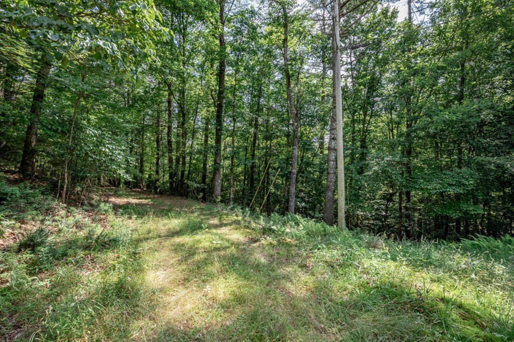 Lot 10 Raper Mill Creek Property Photo 3
