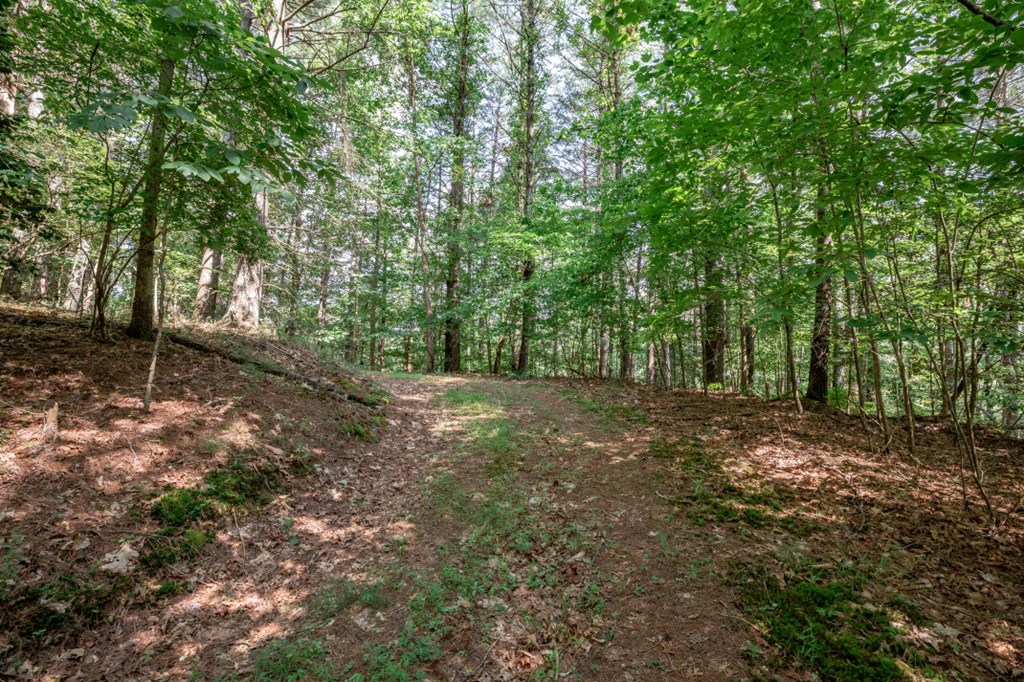 Lot 10 Raper Mill Creek Property Photo 6