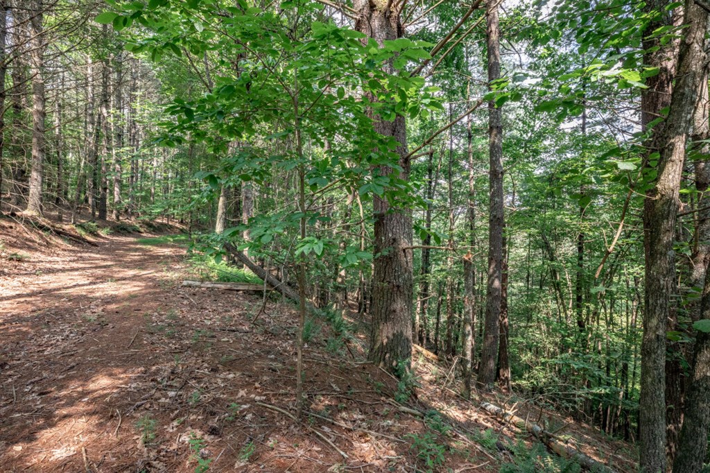 Lot 10 Raper Mill Creek Property Photo 9