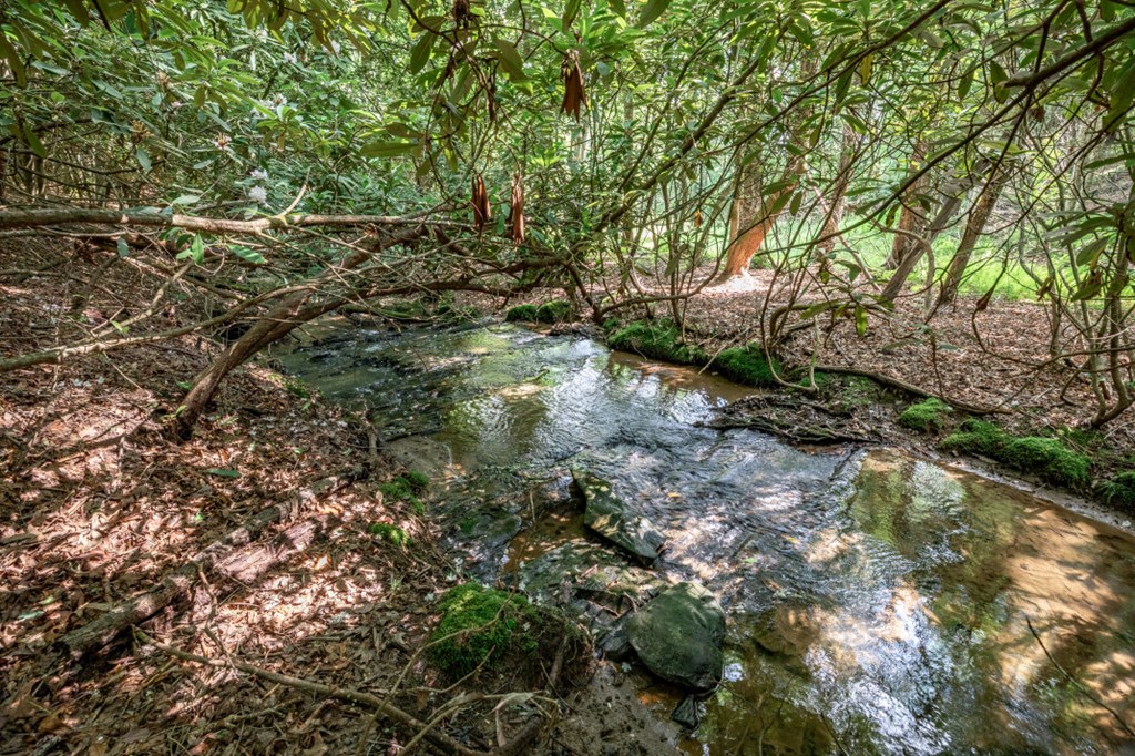 Lot 10 Raper Mill Creek Property Photo 18