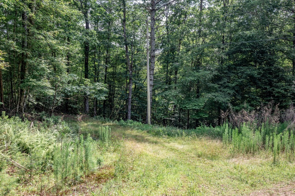 Lot 10 Raper Mill Creek Property Photo 19