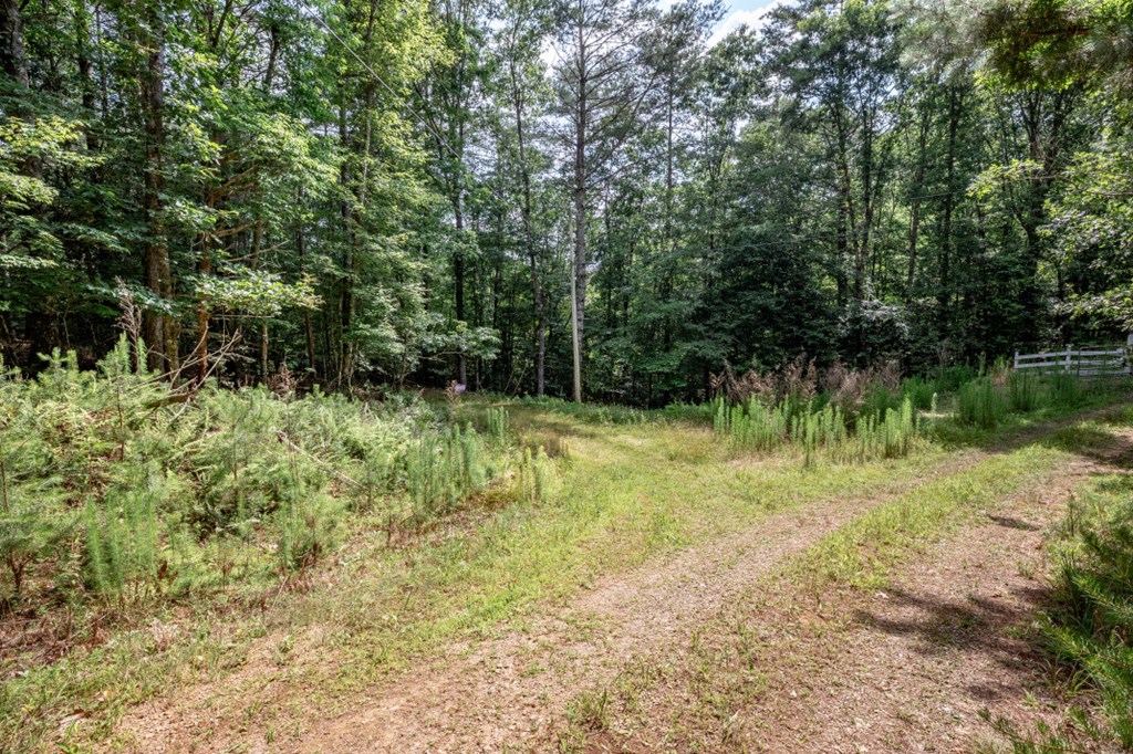 Lot 10 Raper Mill Creek Property Photo 20