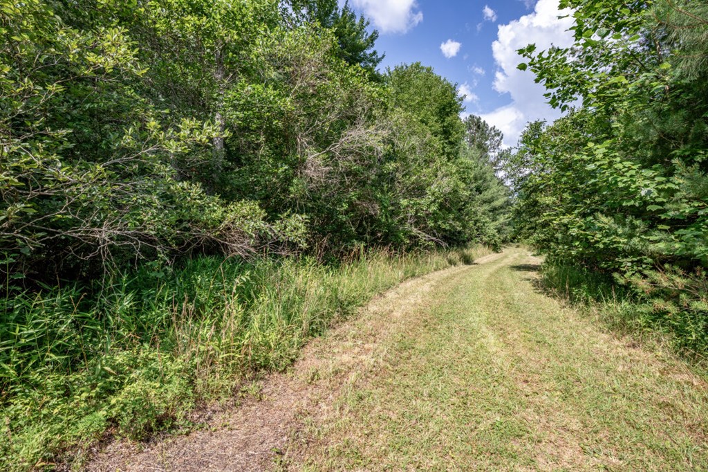Lot 10 Raper Mill Creek Property Photo 21