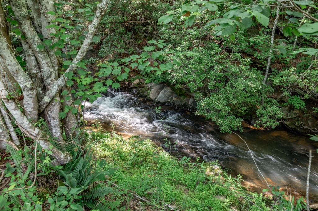 Lot 10 Raper Mill Creek Property Photo 22
