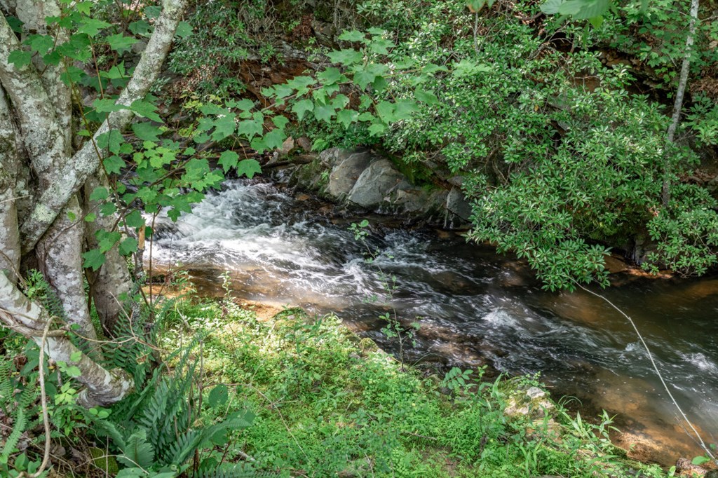 Lot 10 Raper Mill Creek Property Photo 23