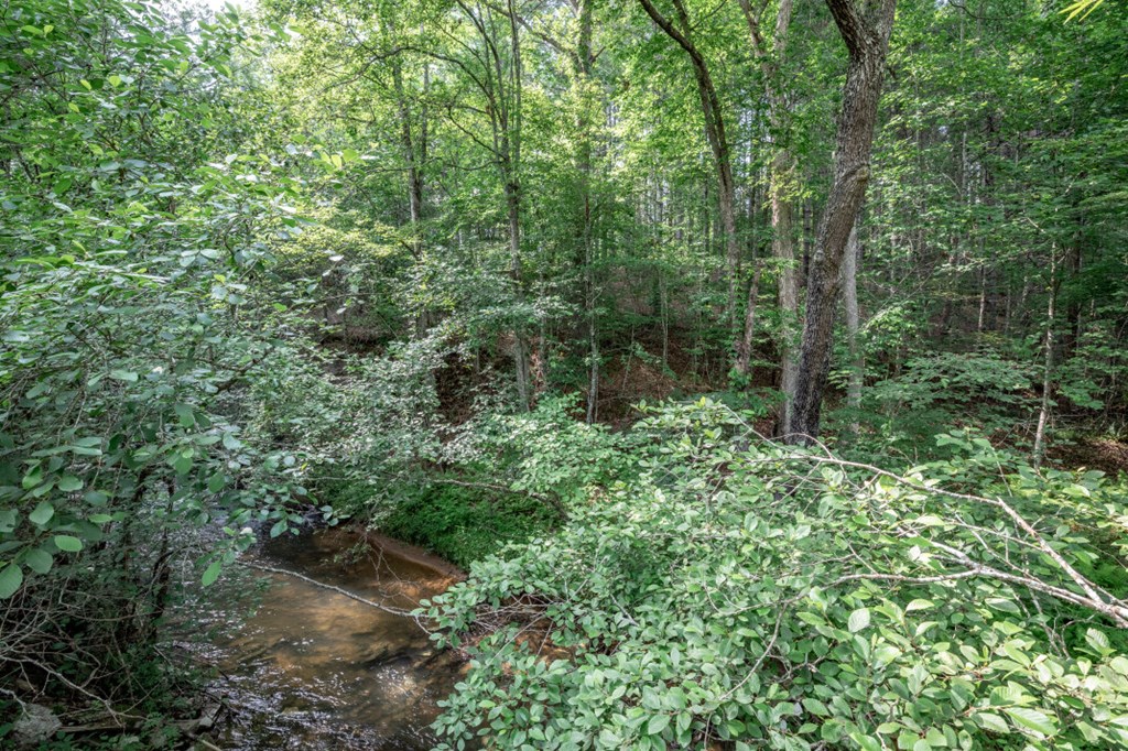 Lot 10 Raper Mill Creek Property Photo 24